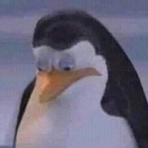 Meet your Posher, Andre